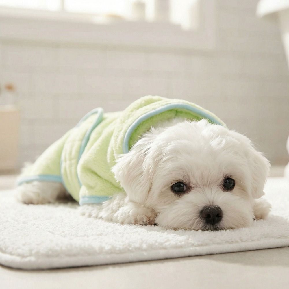 Super Absorbent Dog Hooded Bat - Hooded Bath Towel ulasan dan harga